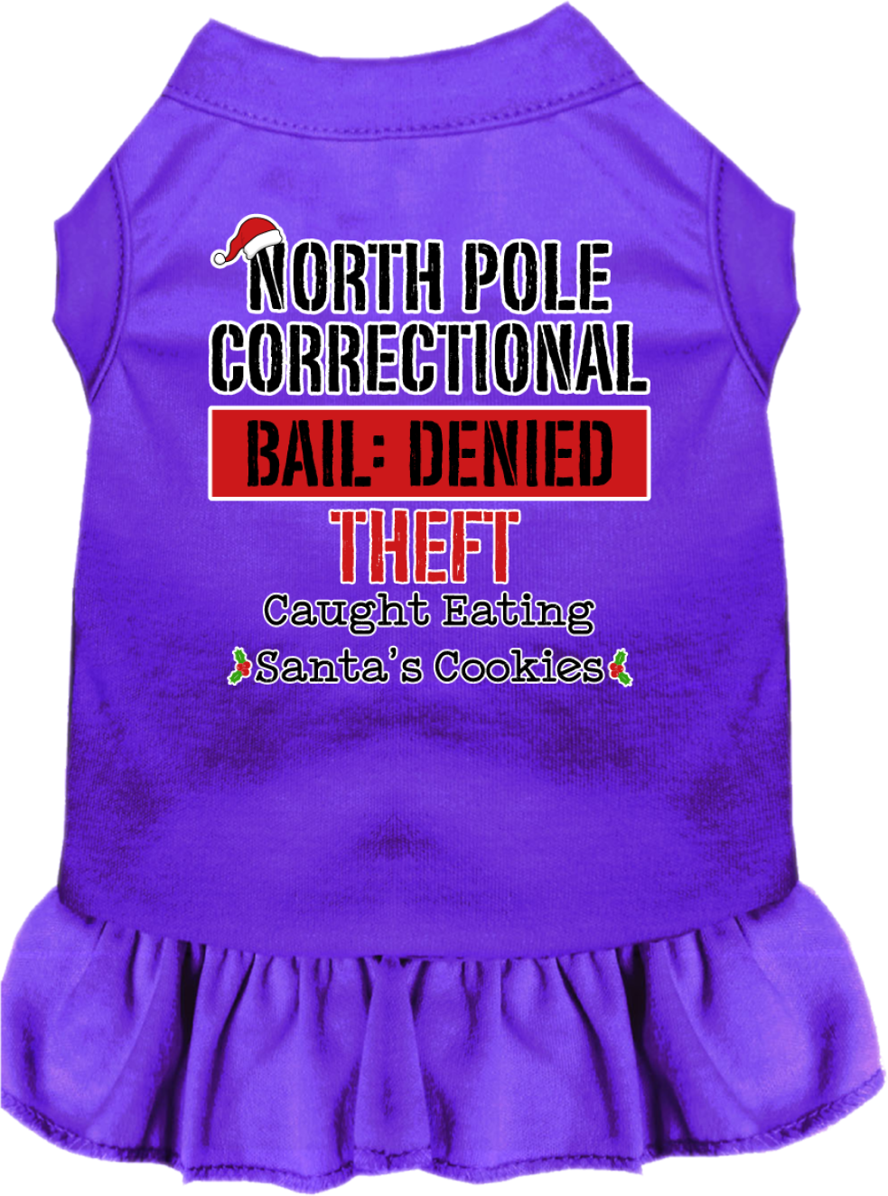 North Pole Correctional Screen Print Dog Dress Purple Size XXXL